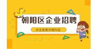 北京朝阳区企业招聘销售总监30-40K